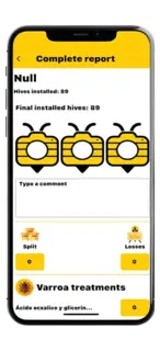 Compliance report screen 1